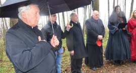 zdjęcie nr 9