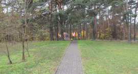 zdjęcie nr 34
