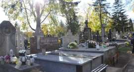 zdjęcie nr 27