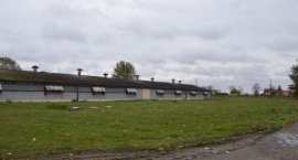 Fotka nr 2 z 11