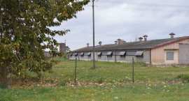 zdjęcie nr 8