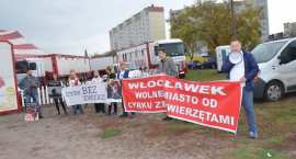 zdjęcie nr 10