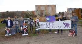 Fotka nr 3 z 13
