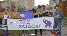 Fotka nr 5 z 13