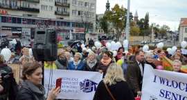 zdjęcie nr 30