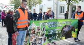 zdjęcie nr 15