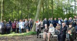 zdjęcie nr 124