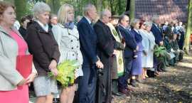 zdjęcie nr 80