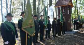 zdjęcie nr 45