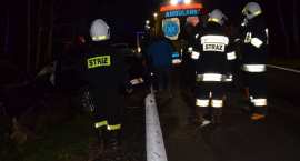 zdjęcie nr 18