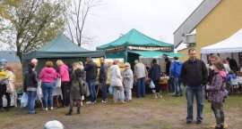 zdjęcie nr 13