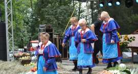zdjęcie nr 16