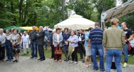 zdjęcie nr 98