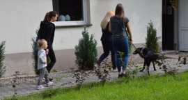 zdjęcie nr 8