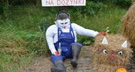 zdjęcie nr 31