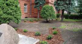 zdjęcie nr 16