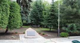 zdjęcie nr 15