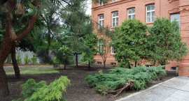 zdjęcie nr 17
