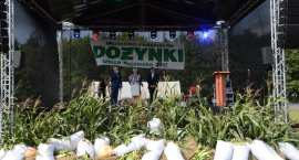 zdjęcie nr 11