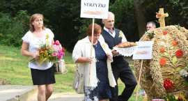 zdjęcie nr 182
