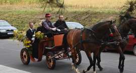 zdjęcie nr 87