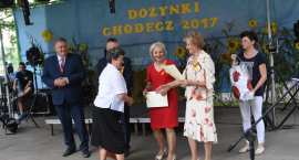 zdjęcie nr 245