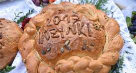 zdjęcie nr 194