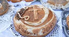 zdjęcie nr 193