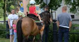 zdjęcie nr 12