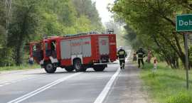 Fotka nr 5 z 28