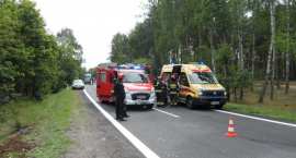 zdjęcie nr 11