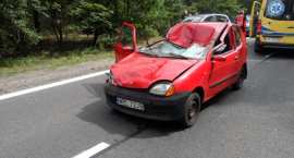 Fotka nr 2 z 11