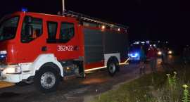 Fotka nr 3 z 27