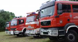 zdjęcie nr 8