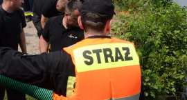 zdjęcie nr 15