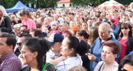 zdjęcie nr 85