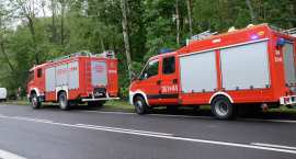 Fotka nr 4 z 31
