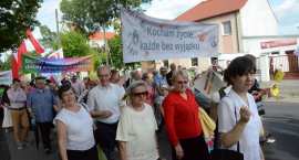 zdjęcie nr 100