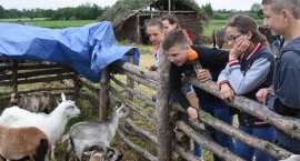 zdjęcie nr 135