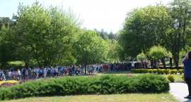 zdjęcie nr 185