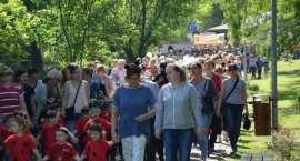 zdjęcie nr 170