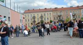 zdjęcie nr 16