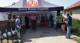 zdjęcie nr 35