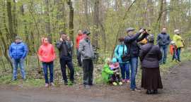 zdjęcie nr 50