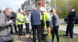 zdjęcie nr 11