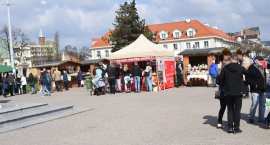 zdjęcie nr 55