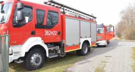 Fotka nr 3 z 11