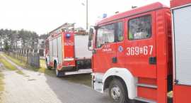 Fotka nr 2 z 11