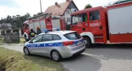 zdjęcie nr 9