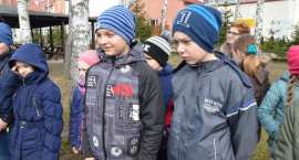 zdjęcie nr 11